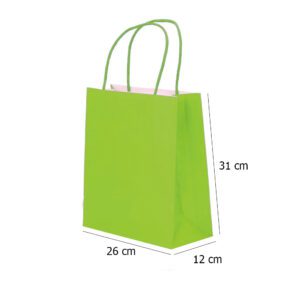Medium Green Kraft paper Party Gift carrier bags with Twisted Handles - 26 x 31 x 12 cm